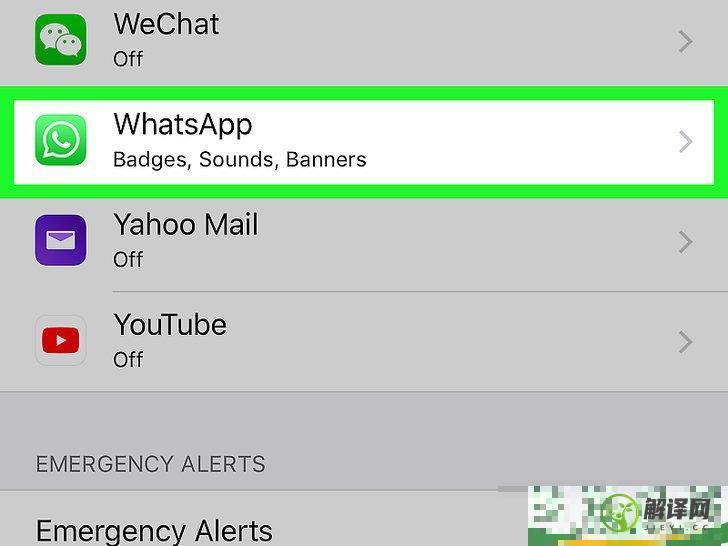 怎么在iPhone或iPad上屏蔽WhatsApp呼叫(whatsapp如何解决连接中的问题)
