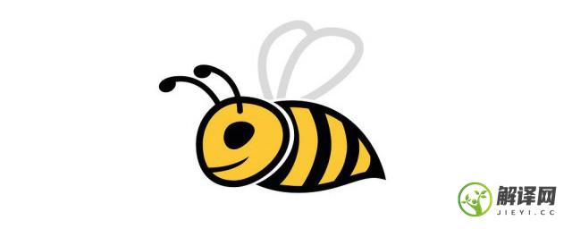 蜜蜂的养殖技巧(蜜蜂的养殖技巧有哪些)