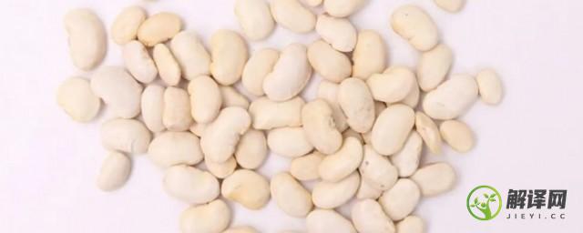 白芸豆的种植方法(白芸豆的种植方法步骤)