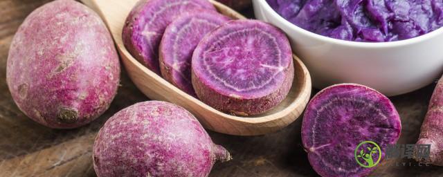 紫薯淀粉可以做什么简单的食物