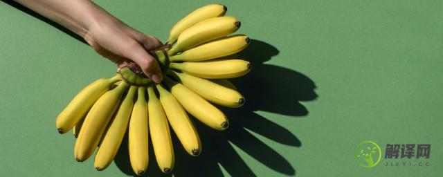 香蕉是什么季节成熟的(香蕉是什么季节成熟的蔬菜)