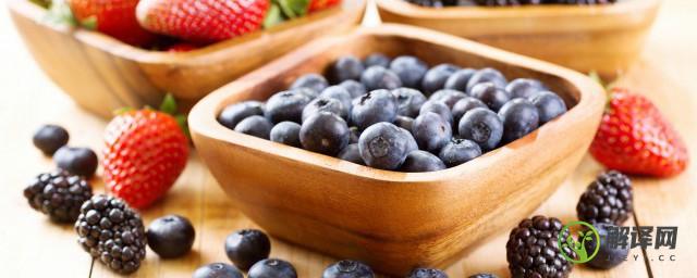 蓝莓成熟在什么季节(蓝莓的成熟季节)
