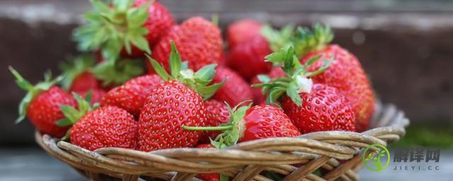 草莓是什么时候季节成熟的(草莓是哪个季节成熟的?)