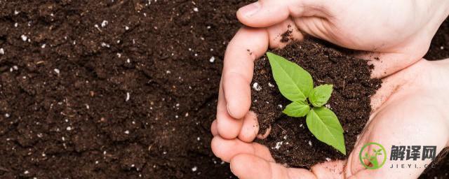 土壤肥料的选择方法(土壤肥料知识)