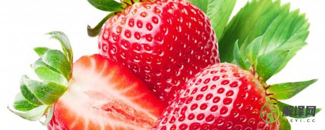 吃草莓大便会红吗(吃草莓会拉红色粑粑吗)