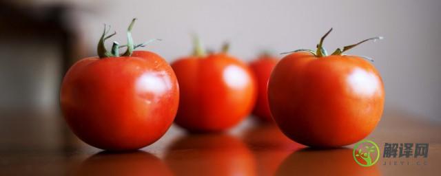 西红柿没熟透可以吃吗(没熟透的西红柿能生吃吗)