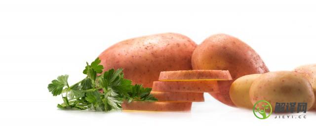 土豆起源于什么时候(土豆的起源和历史)