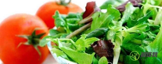 晚餐吃哪些蔬菜帮助减龄(晚餐吃什么蔬菜可以减肥)