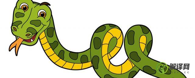 赖皮蛇是什么蛇(赖皮蛇是什么蛇?)