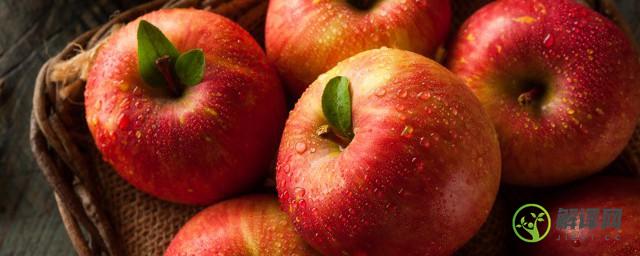 吃苹果对身体的好处有什么(吃苹果对身体的好处有哪些)