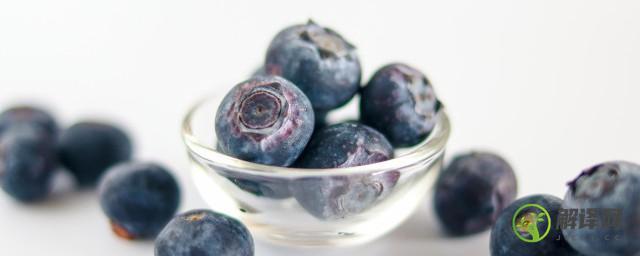 吃蓝莓对身体有什么好处(吃蓝莓对身体有什么好处和坏处)