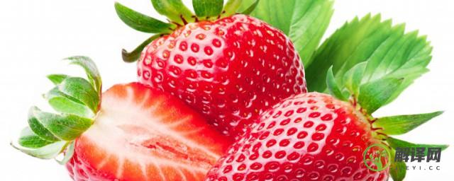 草莓的功效与作用禁忌人群(草莓的功效作用和禁忌)