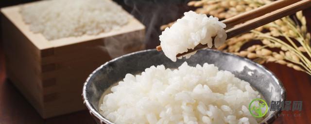 不吃米饭对身体好吗(不吃米饭影响身体健康吗)