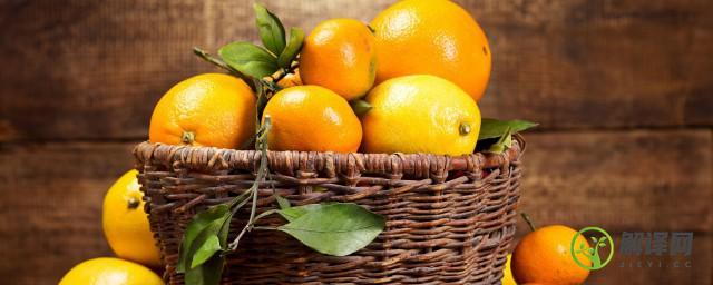 橙子种植方法和管理(橙子种植方法和管理方法)