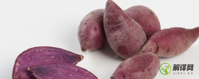 紫薯的营养价值与功效(紫薯的营养价值与功效与禁忌)