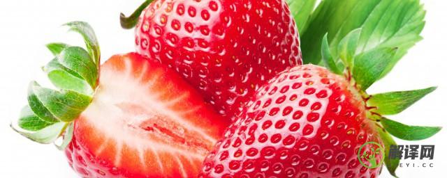 草莓对人身体有什么好处(草莓对人身体有哪些好处)
