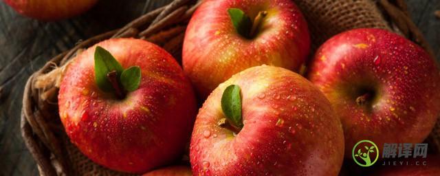 煮苹果的功效与作用禁忌(煮苹果的功效与作用禁忌和副作用)