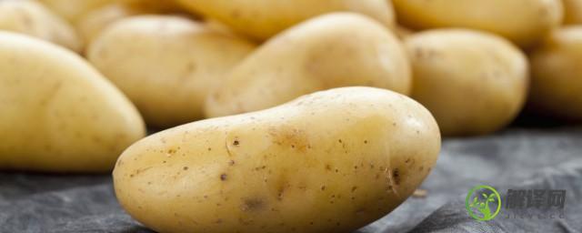 夏天保存土豆的最好方法是什么