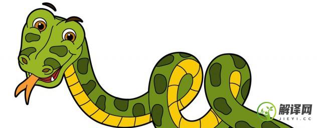 梦见绿色的蛇(梦见绿色的蛇爬到身上,我很害怕)