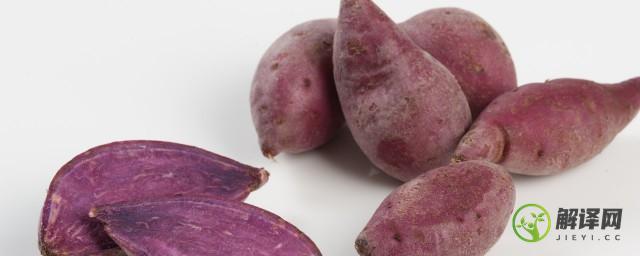 怎么煮紫薯(怎么煮紫薯黑米粥)