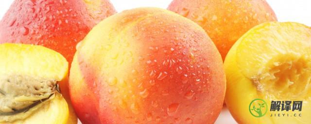 桃子的种植方法(桃子的种植方法100字)