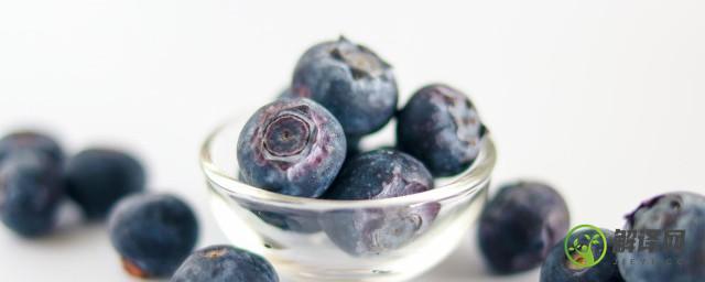 蓝莓的功效与作用吃法(蓝莓的功效与作用吃法大全)