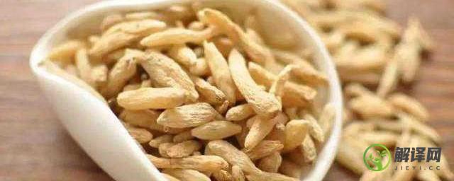 麦冬的功效与作用吃法用量(麦冬的常用量和功效)