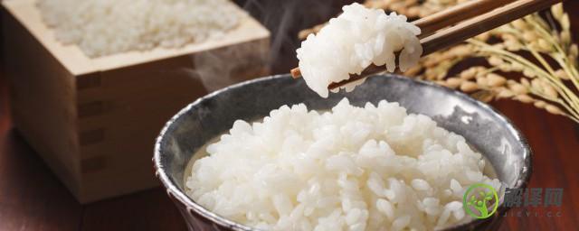 一个人的蒸米饭的家常做法(一个人在家怎么蒸米饭)