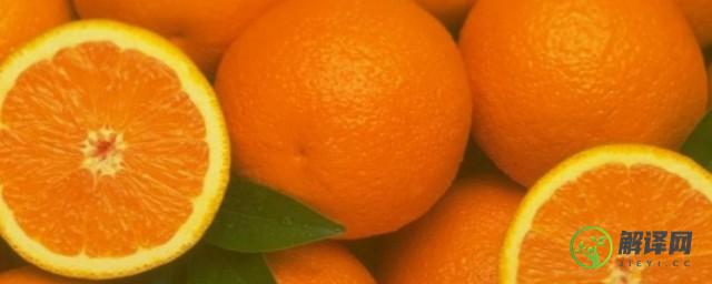 橙子的网络意思是什么(橙橙网络是什么)