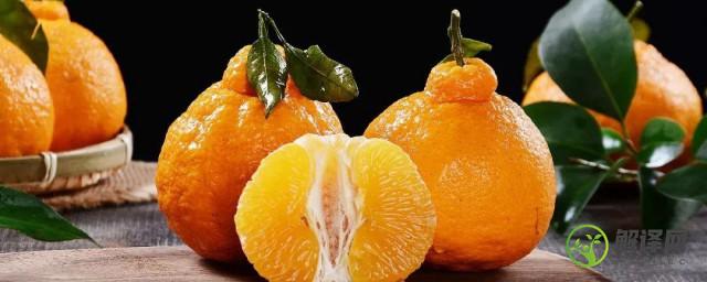 丑橘和耙耙柑的区别(丑橘和耙耙柑的区别图片)
