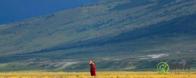 第一次去西藏注意什么(第一次西藏旅游要注意什么)