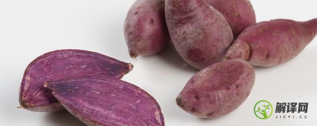 紫薯能煮着吃吗(水煮的紫薯能吃吗)