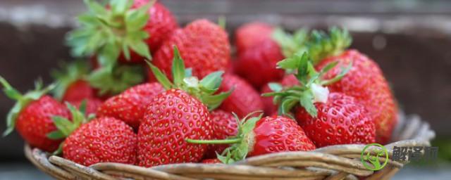 草莓如何保存新鲜(草莓如何保存新鲜不变色)