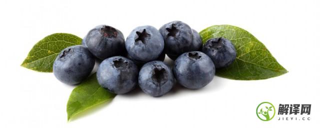 蓝莓籽营养高(蓝莓营养价值高)