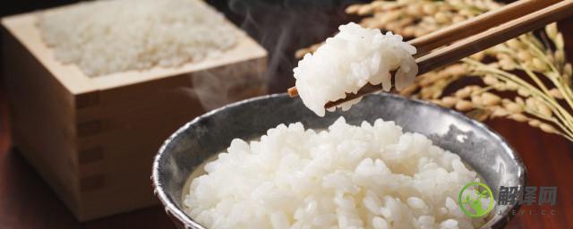 葛粉和米饭哪个热量高(葛根粉和米饭哪个热量高)