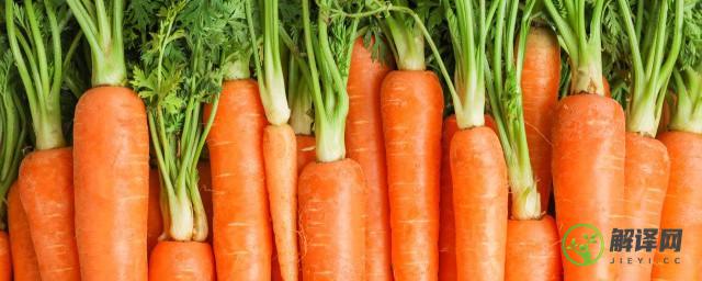 白萝卜和胡萝卜哪个好(白萝卜和胡萝卜哪个好?)