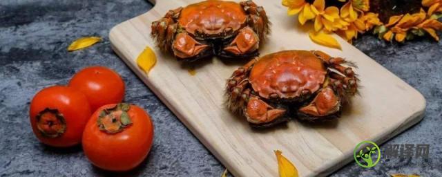 螃蟹和橘子可以同吃吗(螃蟹和橘子可以同吃吗会中毒吗)