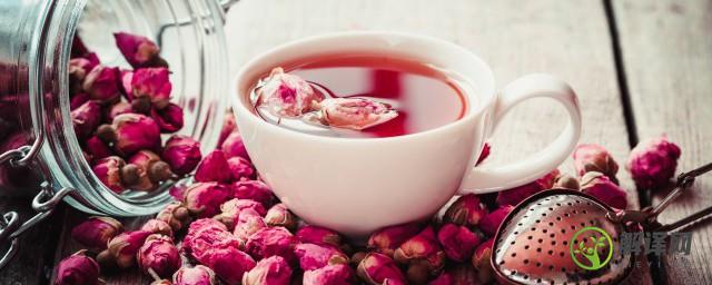 每天喝少量的玫瑰花茶可以吗(每天能喝玫瑰花茶吗)