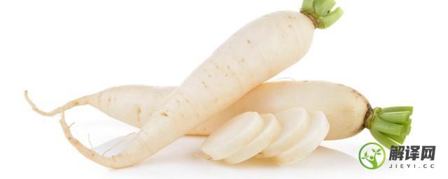 白萝卜炖排骨怎么做好吃又营养