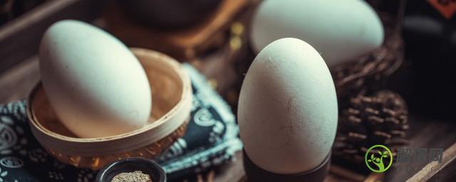 鹅蛋清和黄的营养价值(鹅蛋清和黄哪个有营养)