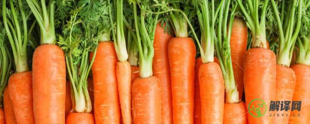胡萝卜是碱性食物还是酸性食物