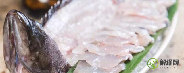 石斑鱼可以做生鱼片吗(石斑鱼能做鱼生吗)