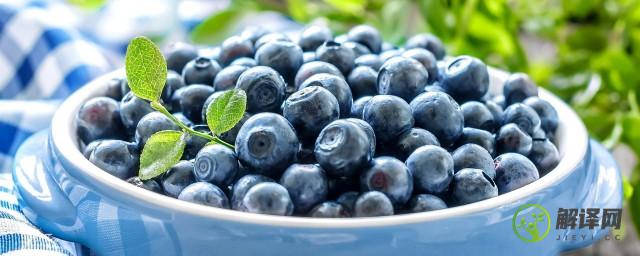 蓝莓是凉性水果吗(蓝莓是凉性水果吗百科)