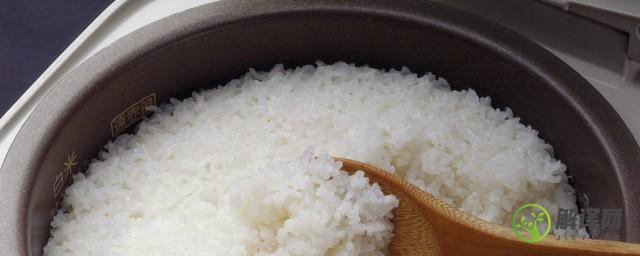 煮米饭用热水还是凉水(煮米饭是用热水还是凉水)