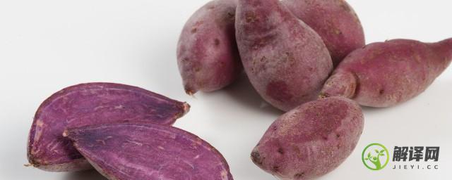 紫薯玫瑰花馒头的家常做法(紫薯玫瑰花馒头怎么做)