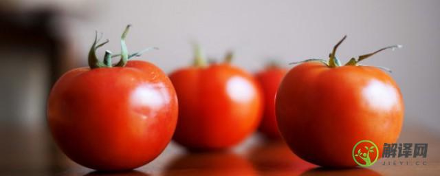西红柿疙瘩汤的家常做法(西红柿疙瘩汤的家常做法视频教程)