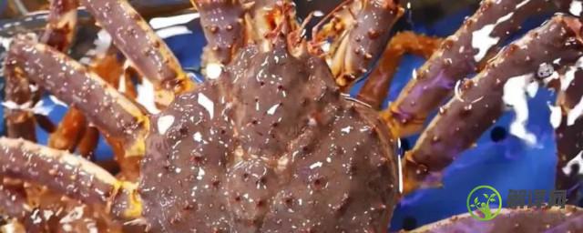 帝王蟹为什么不是真正的螃蟹(为什么说帝王蟹不是真正的螃蟹)