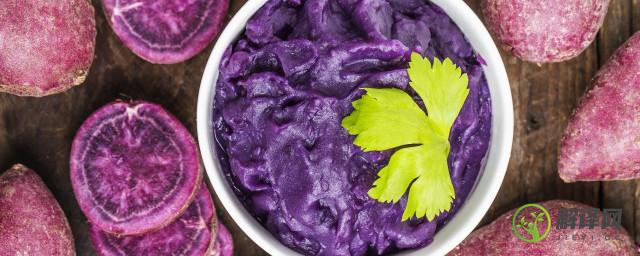 紫薯布丁做法(紫薯布丁做法大全)