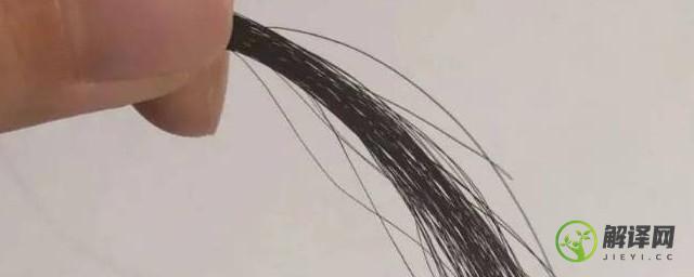 头发丝的直径是多少(人的头发丝的直径是多少)