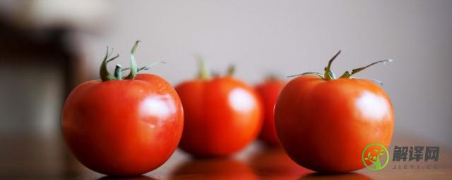 西红柿疙瘩汤做法(茄子西红柿疙瘩汤的做法)